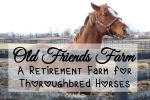 Why Everyone SHOULD Visit Old Friends Farm, Georgetown, Kentucky - California Globetrotter